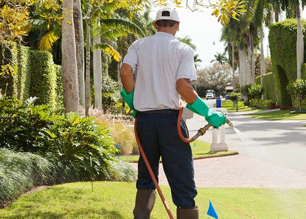 About Park Hall MD Pest Control
